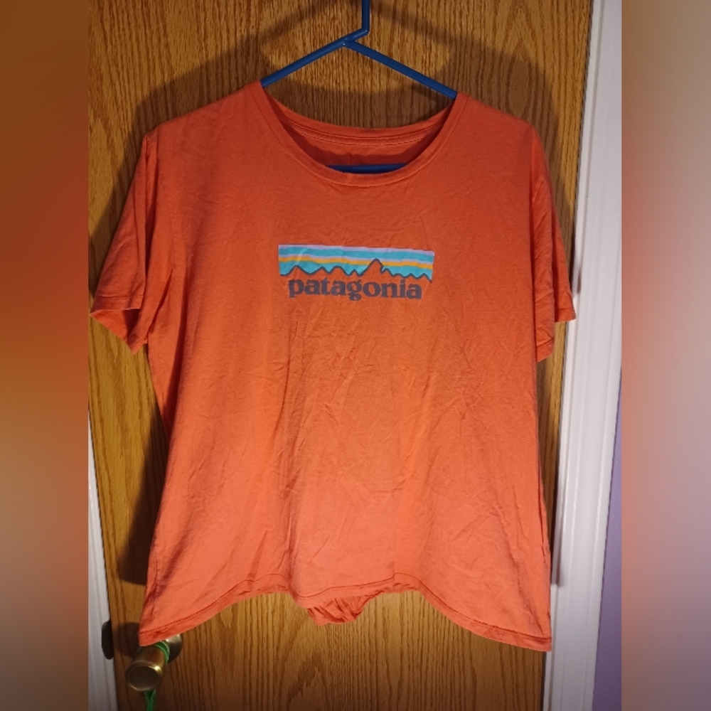 Patagonia T-Shirt